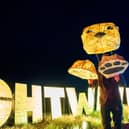 An illuminated 'otter' at the Lightwaves event held previously at Chapel St Leonards. Photo: Cockadoodledoo Communications Ltd