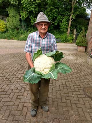 Colin Dickinson with his 14lb cauliflower.