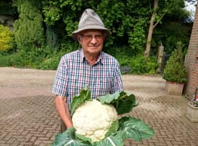 Colin Dickinson with his 14lb cauliflower.