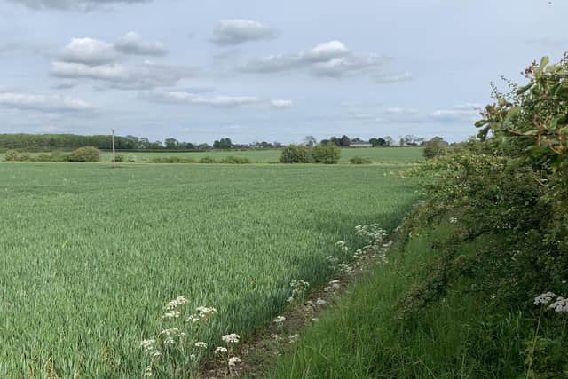 The site of the proposed development. Photo Jennifer Davey