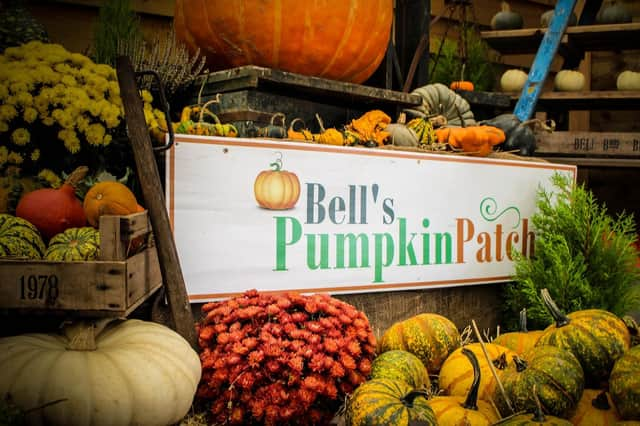 Bell's Pumpkin Patch.