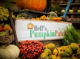 Bell's Pumpkin Patch.