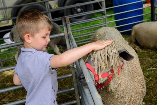 Lincolnshire Show