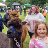 Lara (8) led the way for Walking With Alpacas