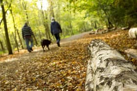 Go on a wild walk for the Lincolnshire Wildlife Trust.