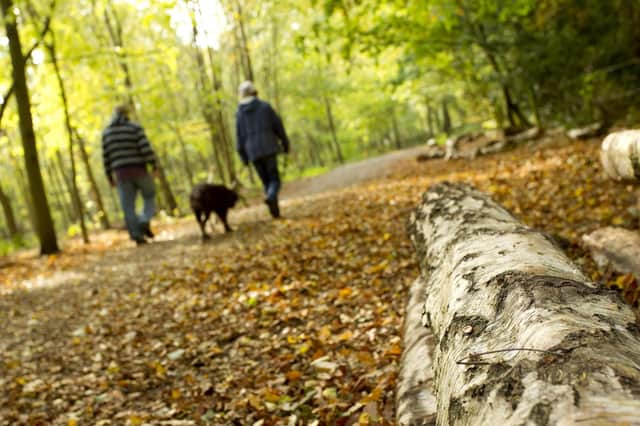 Go on a wild walk for the Lincolnshire Wildlife Trust.