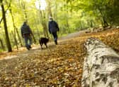 Go on a wild walk for the Lincolnshire Wildlife Trust.