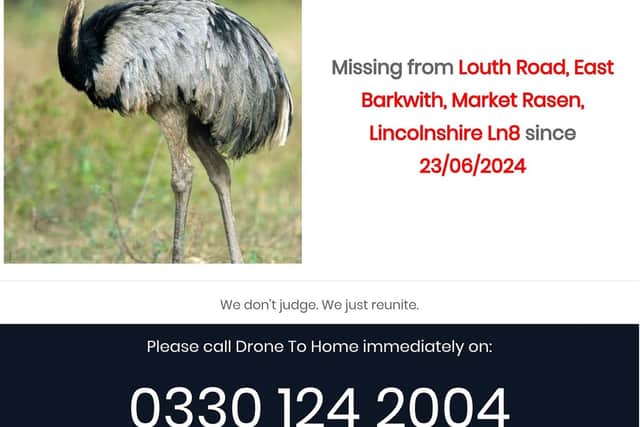 Drone to Home has appealed for help locating a missing rhea in East Barkwith.