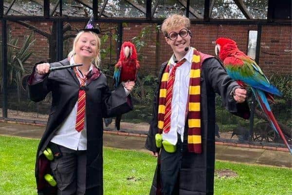 Magical School of Curious Creatures at Tropical Butterfly House