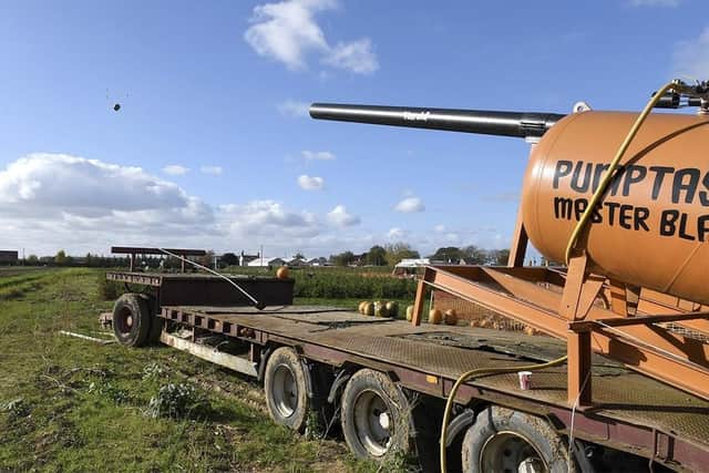 The pumpkin cannon.