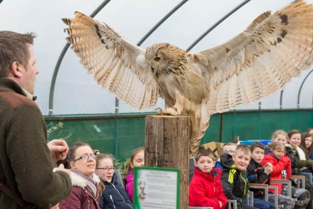 Chestnut Homes' guide include activities for all the family, such as Baytree Owl and Wildlife Centre.