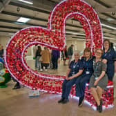 St Barnabas Hospice's HeART trail launch.
