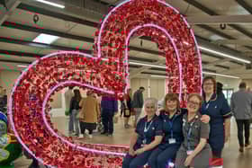 St Barnabas Hospice's HeART trail launch.