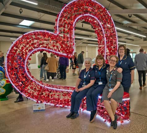 St Barnabas Hospice's HeART trail launch.