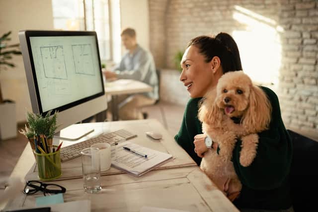 Dedicated dog spaces in the workplace could be big business in 2023 (photo: Adobe)