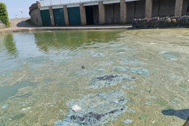 The southern end of Skegness Boating Lake in May Credit: Facebook