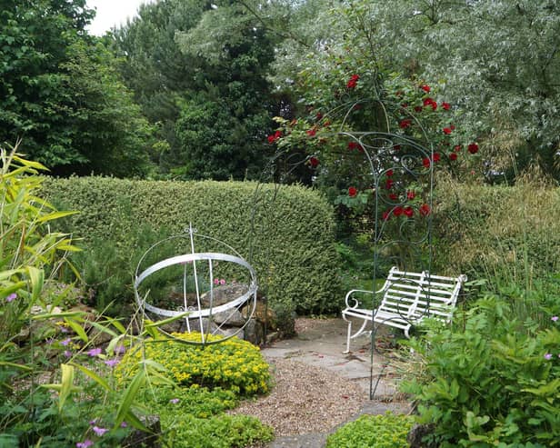 The Fern Nursery