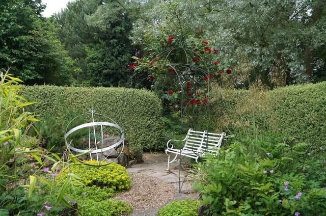 The Fern Nursery