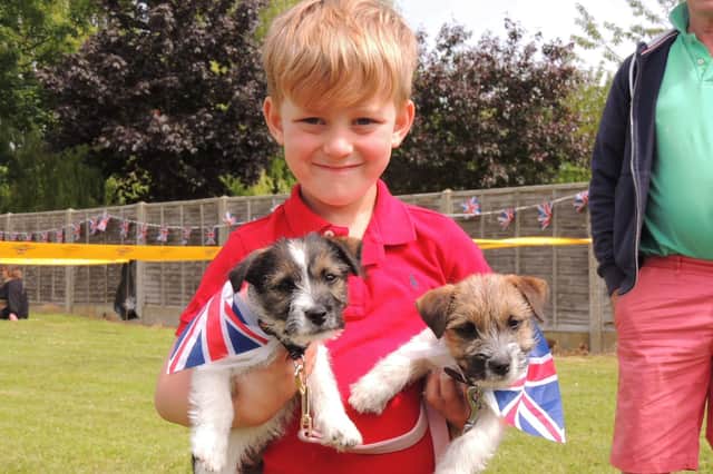 Also entered in the puppy and dog handler classes at South Kyme's jubilee dog show - village resident Alfie Hassell, aged five, with 12-week-old Jack Russell/Border terrier puppies Edie and Ruby.
