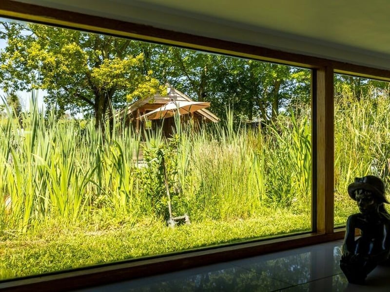 The view of the pod from the house.