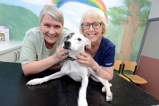 Jenny Harrand with Tilly and Eastfield Vets' Jo Patrick. Photo: Eastfield Vets.