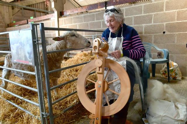 Pauline Johnson of The Longwool Sheep Breeders Association