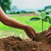 Horncastle Town Council's new Green Spaces initiative kicks off on Saturday with the first planting session at Thomas Gibson Drive.