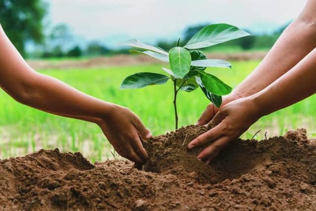 Horncastle Town Council's new Green Spaces initiative kicks off on Saturday with the first planting session at Thomas Gibson Drive.