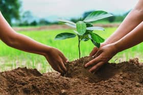 Horncastle Town Council's new Green Spaces initiative kicks off on Saturday with the first planting session at Thomas Gibson Drive.