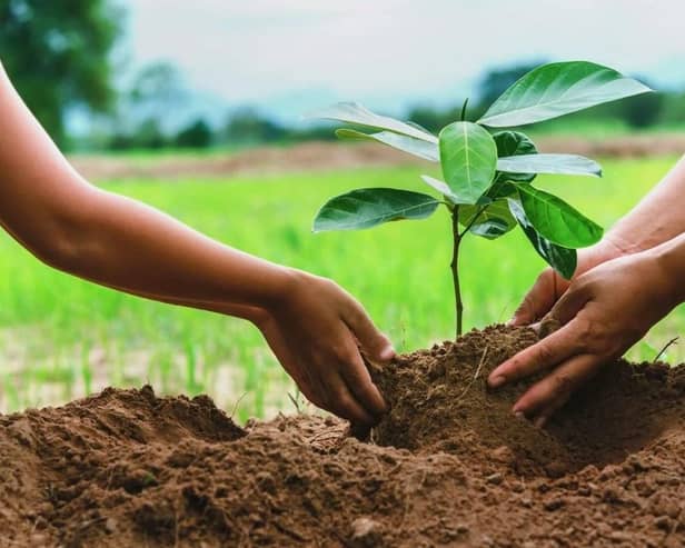 Horncastle Town Council's new Green Spaces initiative kicks off on Saturday with the first planting session at Thomas Gibson Drive.