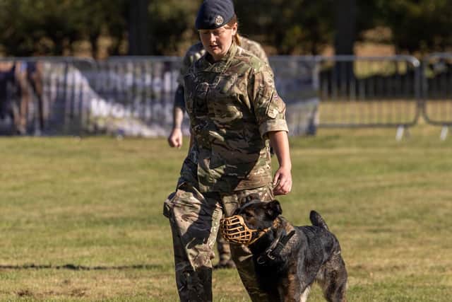 Cpl Poore and Nina in action at the Military Working Dog Trials held at RAF Honnington. Photo: AS1 Leah Baguley-Townsend