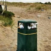 The state of Skegness' bins is the subject of a motion at this week's Town Council meeting.