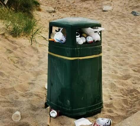 The state of Skegness' bins is the subject of a motion at this week's Town Council meeting.