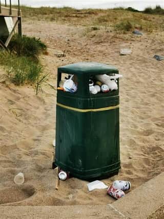 The state of Skegness' bins is the subject of a motion at this week's Town Council meeting.