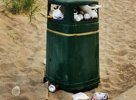 The state of Skegness' bins is the subject of a motion at this week's Town Council meeting.