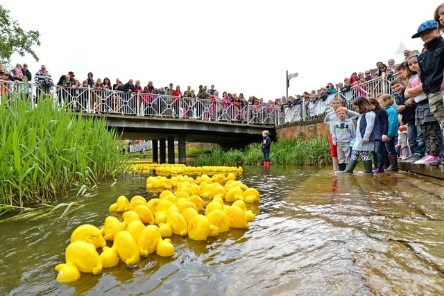 Horncastle Primary School’s PTA holding its annual duck race of 2014 on the River Bain. First duck home was number 540, which won its owner (a Year Six pupil from the school) the top prize of £100. More than £300 was raised for the PTA. Treasurer Helen Hobdell said: “It was a fantastic day and many thanks go to families from the school for taking part and the PTA for organising it.”
