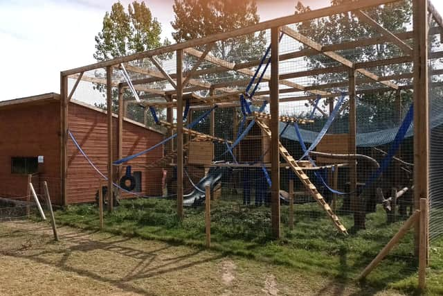 The new enclosure waiting for the macaques at Ark Wildlife Park in Stickney.