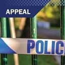 Police would like to hear from anyone who saw a collision on the A52 at Hogsthorpe.