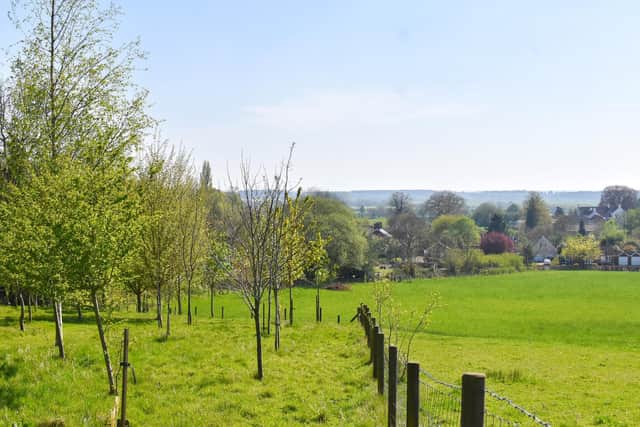 Griff Wood offers great views of the village and the Lincolnshire Wolds.
