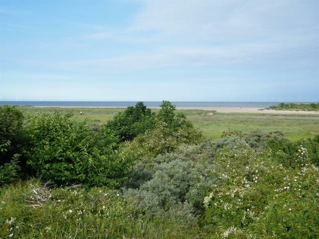The sea views.