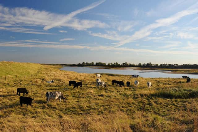 The free guide includes green spaces and nature reserves including Freiston Short RSPB reserve.
