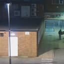 They were caught on CCTV