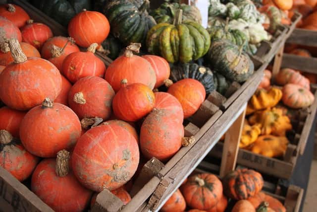 There will be a huge variety of pumpkins and gourds to buy at the site.