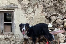 Colin back in action searching the rubble in Turkey on Saturday after his injury. (Photo: Lincs Fire and Rescue)