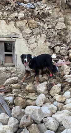 Colin back in action searching the rubble in Turkey on Saturday after his injury. (Photo: Lincs Fire and Rescue)