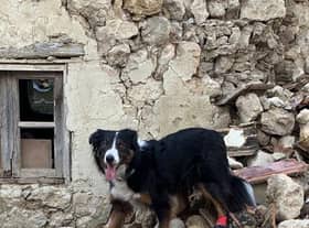 Colin back in action searching the rubble in Turkey on Saturday after his injury. (Photo: Lincs Fire and Rescue)