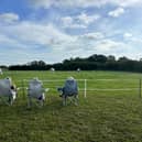 Three Lionesses carefully watching the field for the Horse Plop Competition!