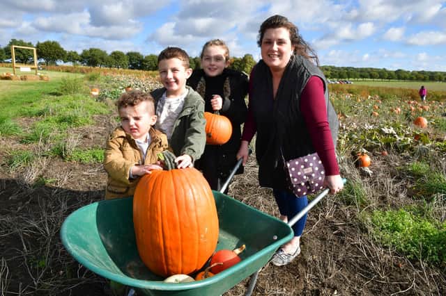 Claire Creasey, of Woodhall Spa, with Danny Creasey 3, Mickey-Lee Creasey, 7 and Lily-Rose Creasey, 9.
