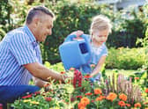 August often means summer holidays away from home – but it is important to not neglect your garden. Ask friends, family, and neighbours to water plants and flowers