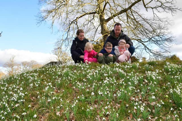 Lauren and Dan Whatmough with their children, from left - Toby, one, Jacob, six, and Ava Whatmough, four, of Greylees.